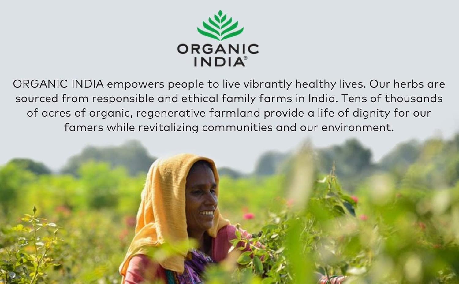 Organic India – Té orgánico de Tulsi, té de hierbas, 18 bolsas de infusión. paquete de 6