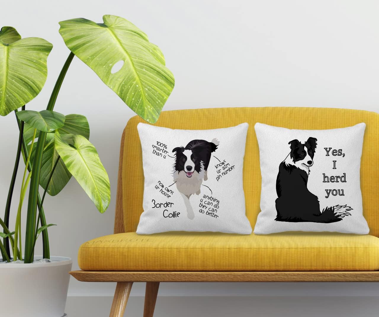 Border Collie – Juego de 2 fundas de almohada de 18 x 18 pulgadas, decoración de perro Border Collie para el hogar, dormitorio, sala de estar,
