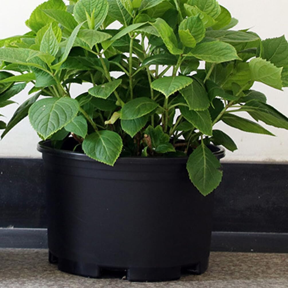 COHEALI 2 macetas de plástico para plantas de vivero, macetas de plántulas de flores para esquejes de trasplante con agujeros de drenaje para