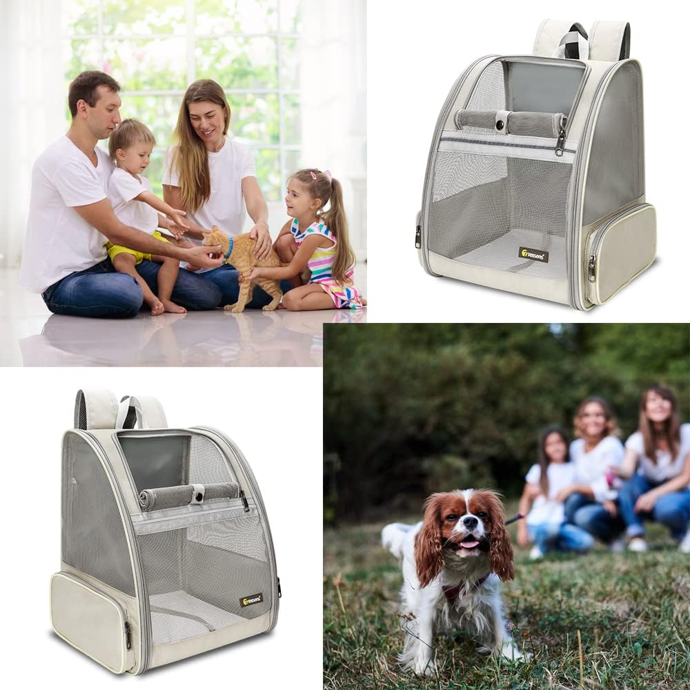 Texsens Mochila transportadora para mascotas para gatos pequeños y perros, diseño ventilado, correas de seguridad, soporte de hebilla, plegable,