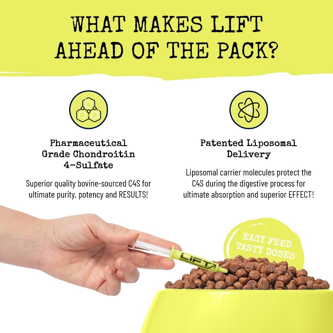 Summit Animal Lift – Suplemento de salud para aliviar el dolor canino, vitamina de apoyo para la cadera y las articulaciones, cronroitina líquida