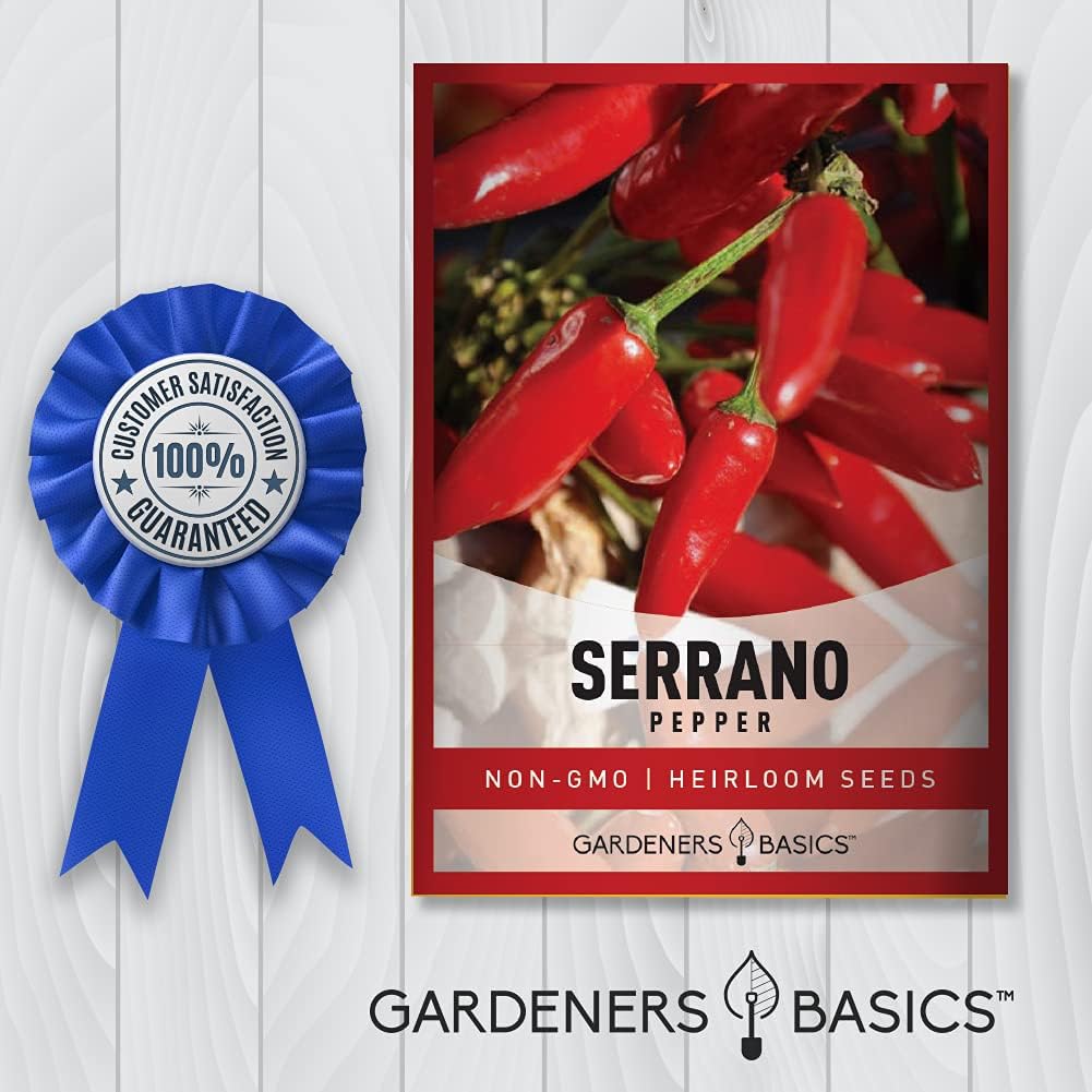 Semillas de pimiento serrano para plantar pimientos anchos sin OMG, semillas de plantas para verduras de jardín en el hogar, son un gran regalo para