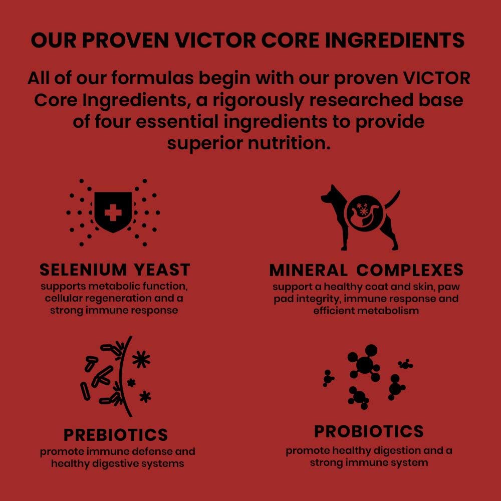 Victor Super Premium – Alimento para perros  Golosinas clásicas crujientes para perros con harina de cordero  Golosinas sin gluten para perros de