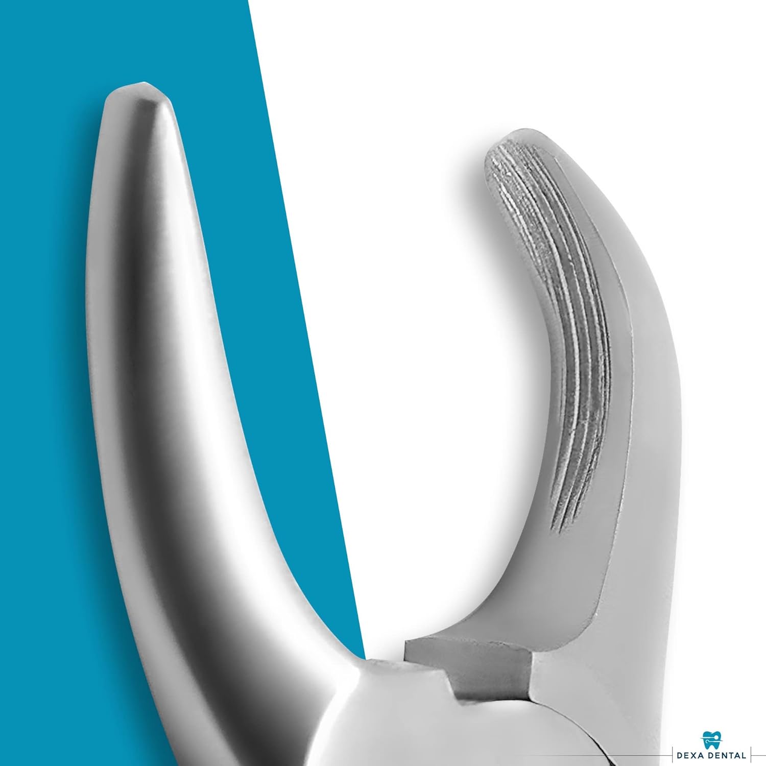 Tártaro Forcep Calculus Remover Raspador de dientes, Pinzas removedor de sarro, perro veterinario dental PET Canino A+, Instrumento de calidad 4.5