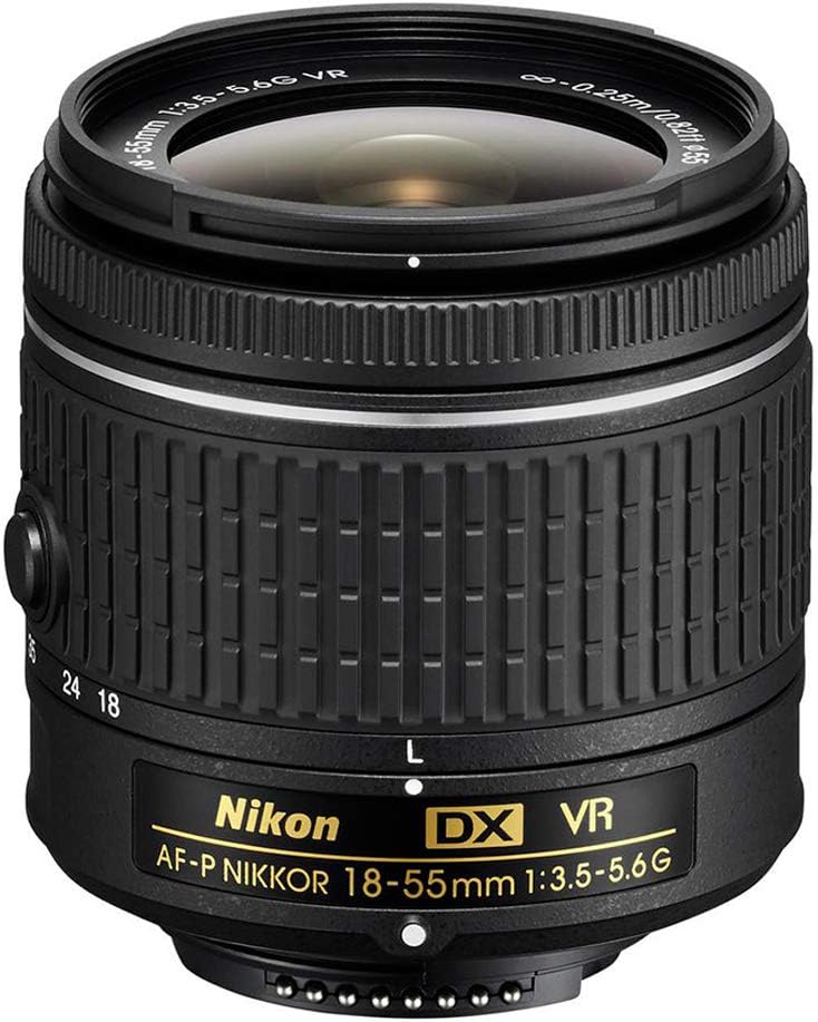 Nikon D3500 – Cámara digital DSLR de 24.2 MP con lente NIKKOR VR de 0.709-2.165 in + tarjeta de memoria SanDisk de 64 GB + lector de tarjetas USB de