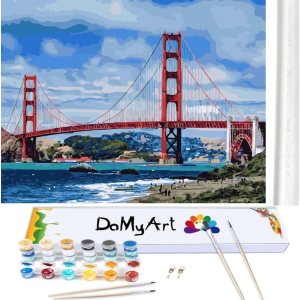 DoMyArt Kit de pintura acrílica por números sobre lienzo para adultos principiantes, manualidades para adultos, proyecto de pintura de arte DoMyArt Kit de pintura acrílica por números sobre lienzo para adultos principiantes, manualidades para adultos, proyecto de pintura de arte
