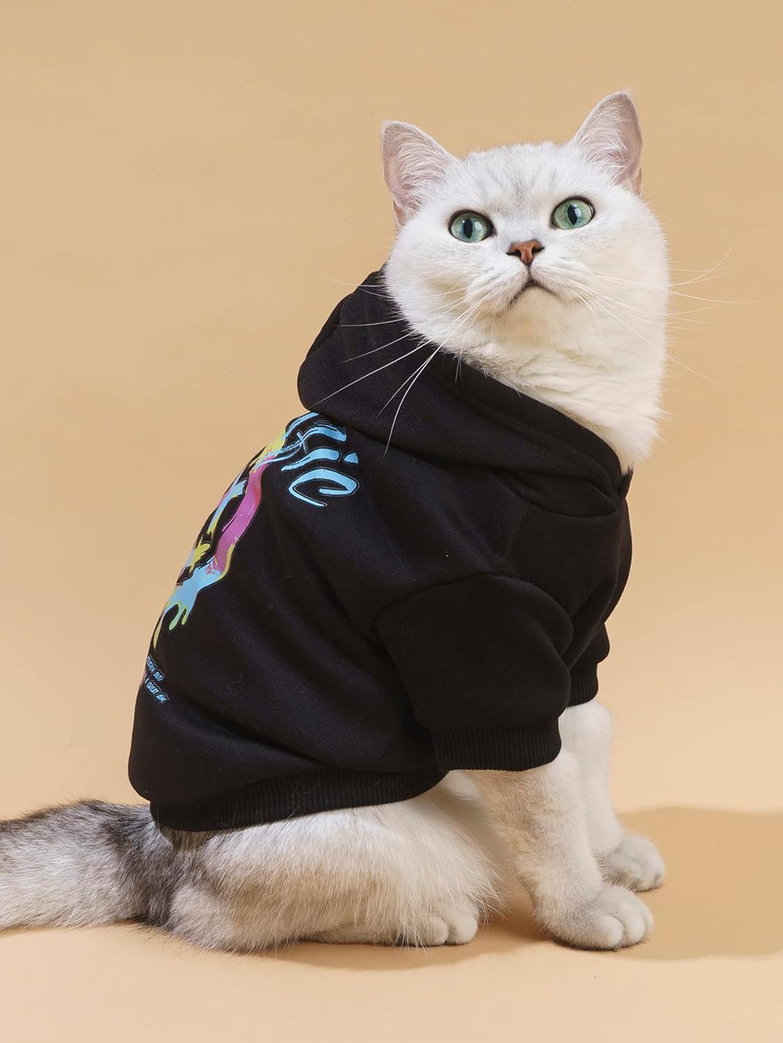 QWINEE Sudadera con capucha para perro, sudadera elegante para perros, gatos, gatitos, cachorros, perros pequeños, medianos y grandes, color negro, S