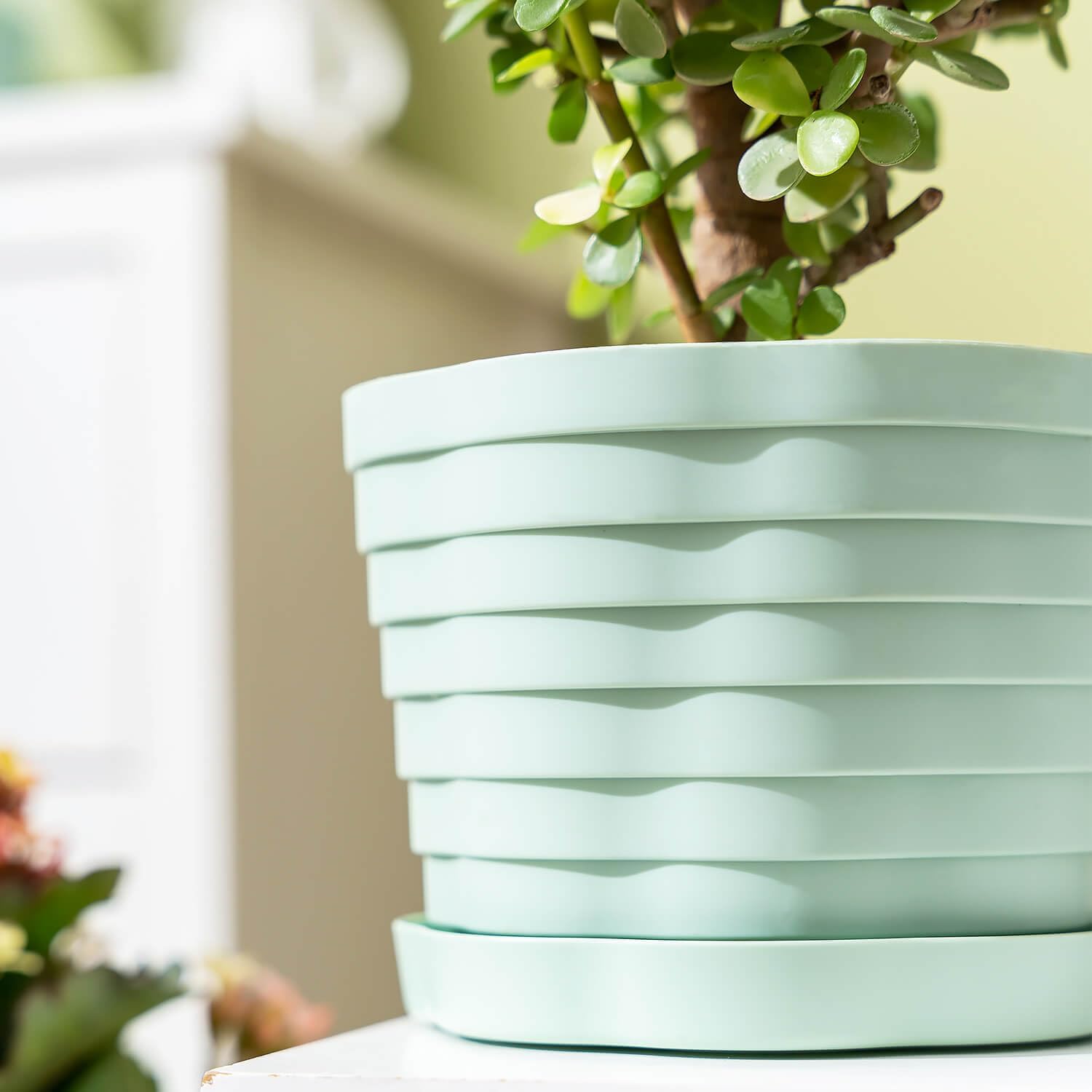 Macetas para macetas de interior, macetas decorativas de 7.7 pulgadas con agujeros de drenaje, paquete de 4 macetas para todas las flores de jardín