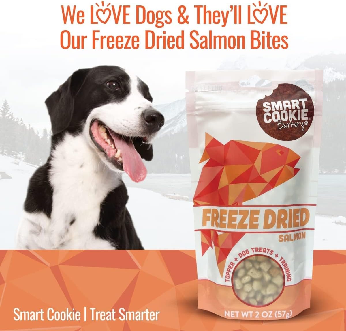 Smart Cookie Bocaditos de salmón liofilizado  Golosinas de salmón liofilizado de un solo ingrediente para perros  Golosinas de entrenamiento de