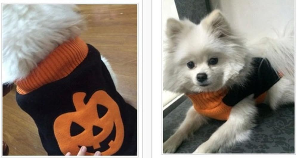 MaruPet Suéter acanalado de dos piernas para perrito de Año Nuevo, prendas de punto, cuello alto, Halloween, calabaza, impreso, chaleco de algodón