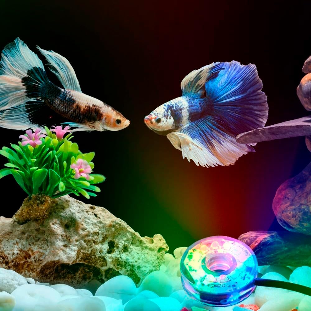 MiOYOOW Luz LED para acuario, luz LED sumergible colorida impermeable USB luz subacuática para acuario pecera