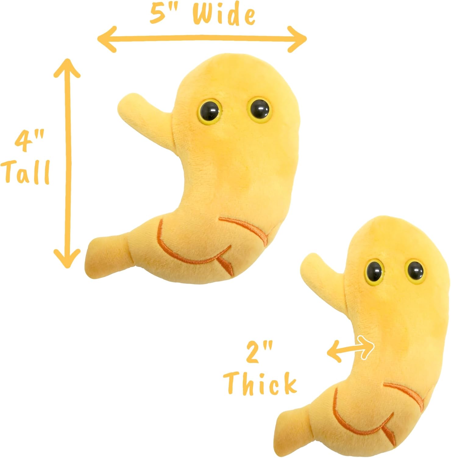 GIANTmicrobes – Peluche estomacal  Juguete anatómico de órgano, regalo de recuperación de cirugía bariátrica, regalos de bypass gástrico, manga