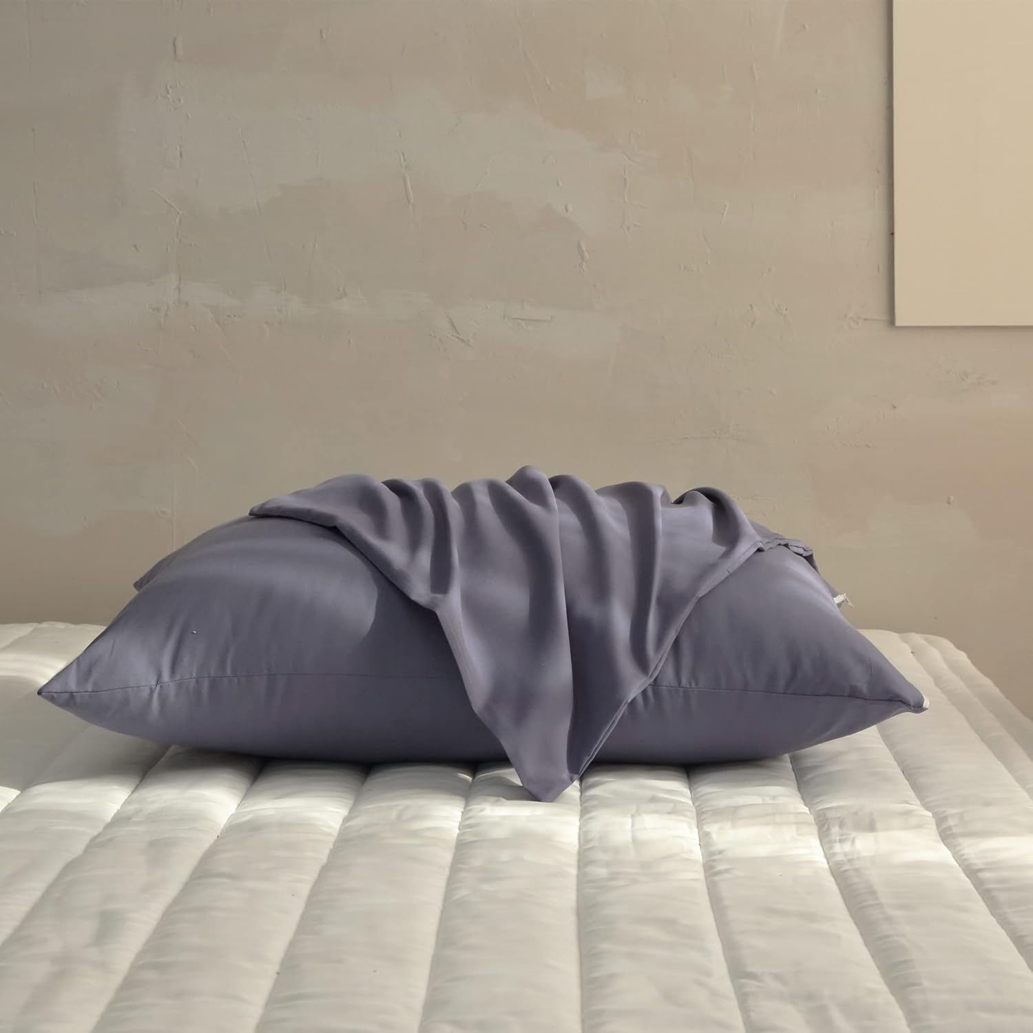 DT&G lobal – Juego de 4 fundas de almohada de microfibra suave cepillada, económicas y suaves al tacto con cremallera (Queen (20 x 30 pulgadas),