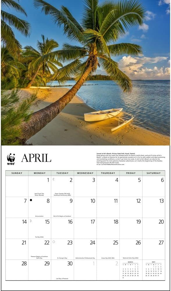 Calendar Ink, Islands WWF 2024 – Calendario de pared
