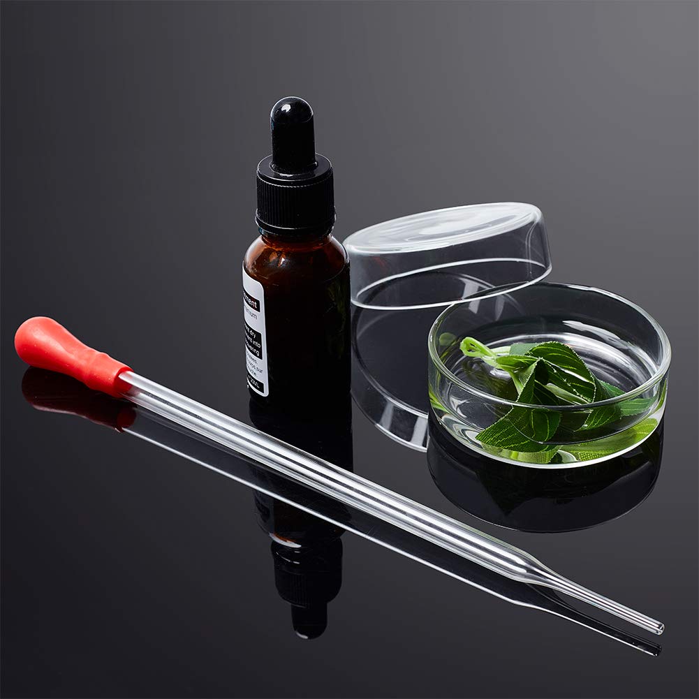 OLYCRAFT Platos de vidrio Petri de vidrio de borosilicato de alto vidrio de borosilicato con tapa de 2.362 in de diámetro x 0.709 in de profundidad
