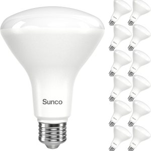 Sunco – Paquete de 12 bombillas LED BR30, alto rendimiento de 1200 LM, luces de inundación para interiores, equivalente a 11 W, 65 W, 3000 K Sunco – Paquete de 12 bombillas LED BR30, alto rendimiento de 1200 LM, luces de inundación para interiores, equivalente a 11 W, 65 W, 3000 K
