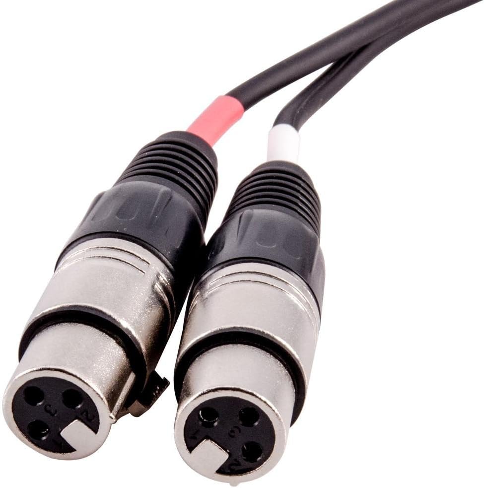 Seismic Audio Altavoces 2 XLR hembra a 2 macho, cable de conexión XLRF a cable de audio RCA dual, 3 pies