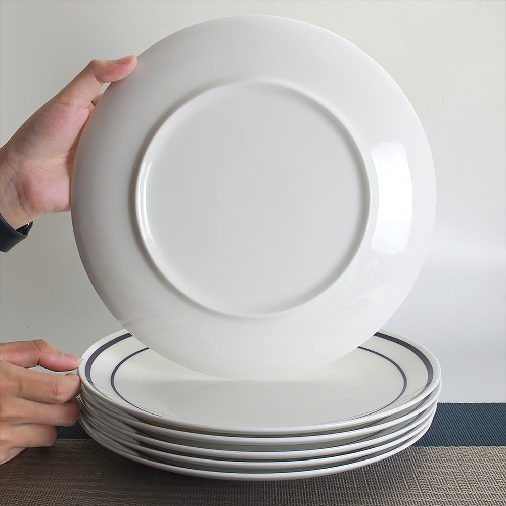 YFWOOD Juego de 6 platos llanos de cerámica, platos de ensalada de 8 pulgadas, mesa redonda de porcelana contemporánea, adecuados para postres,