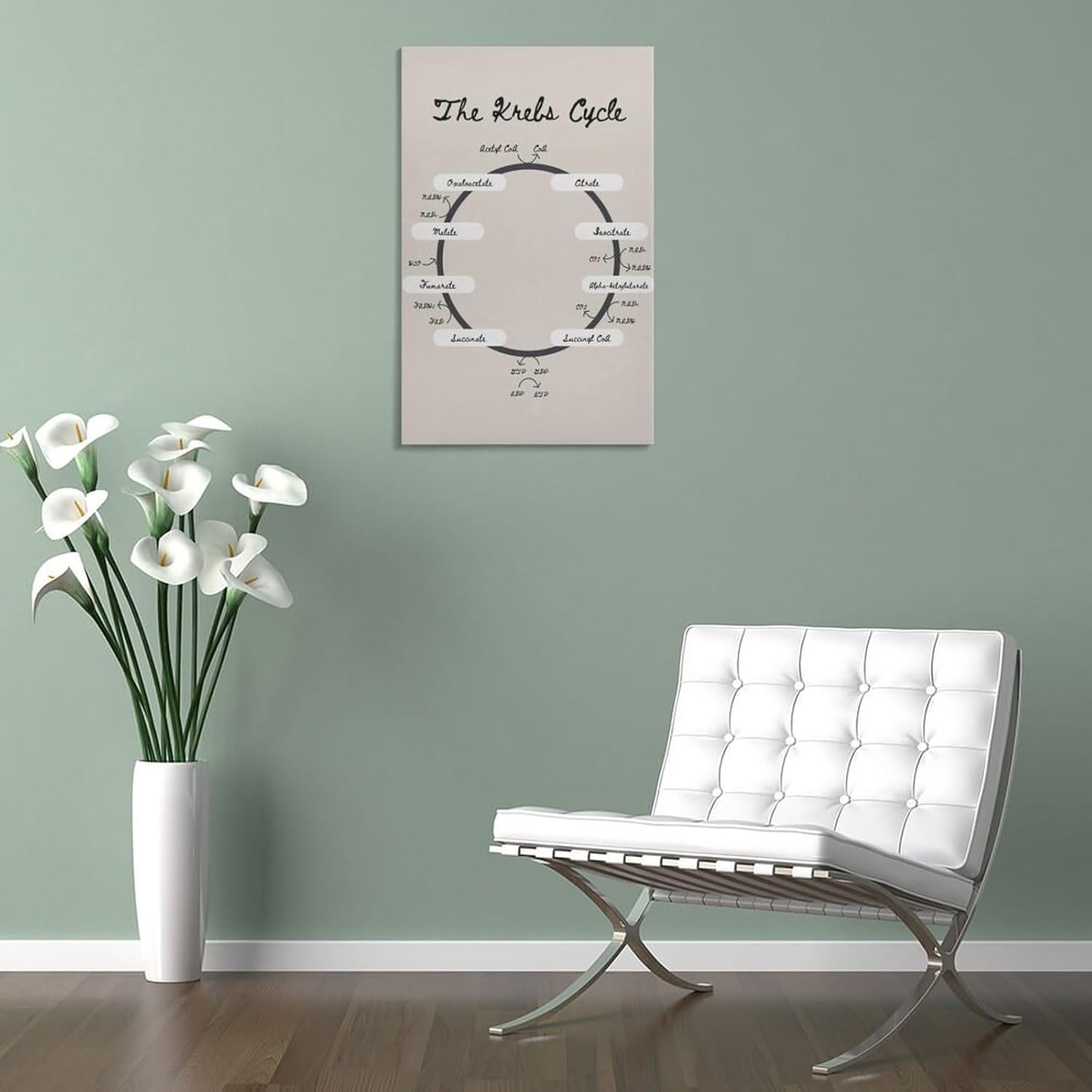 Krebs Cycle – Póster de biología del ciclo TCA de la nutrición, póster educativo, arte de pared, lienzo, decoración de pared, decoración del hogar,