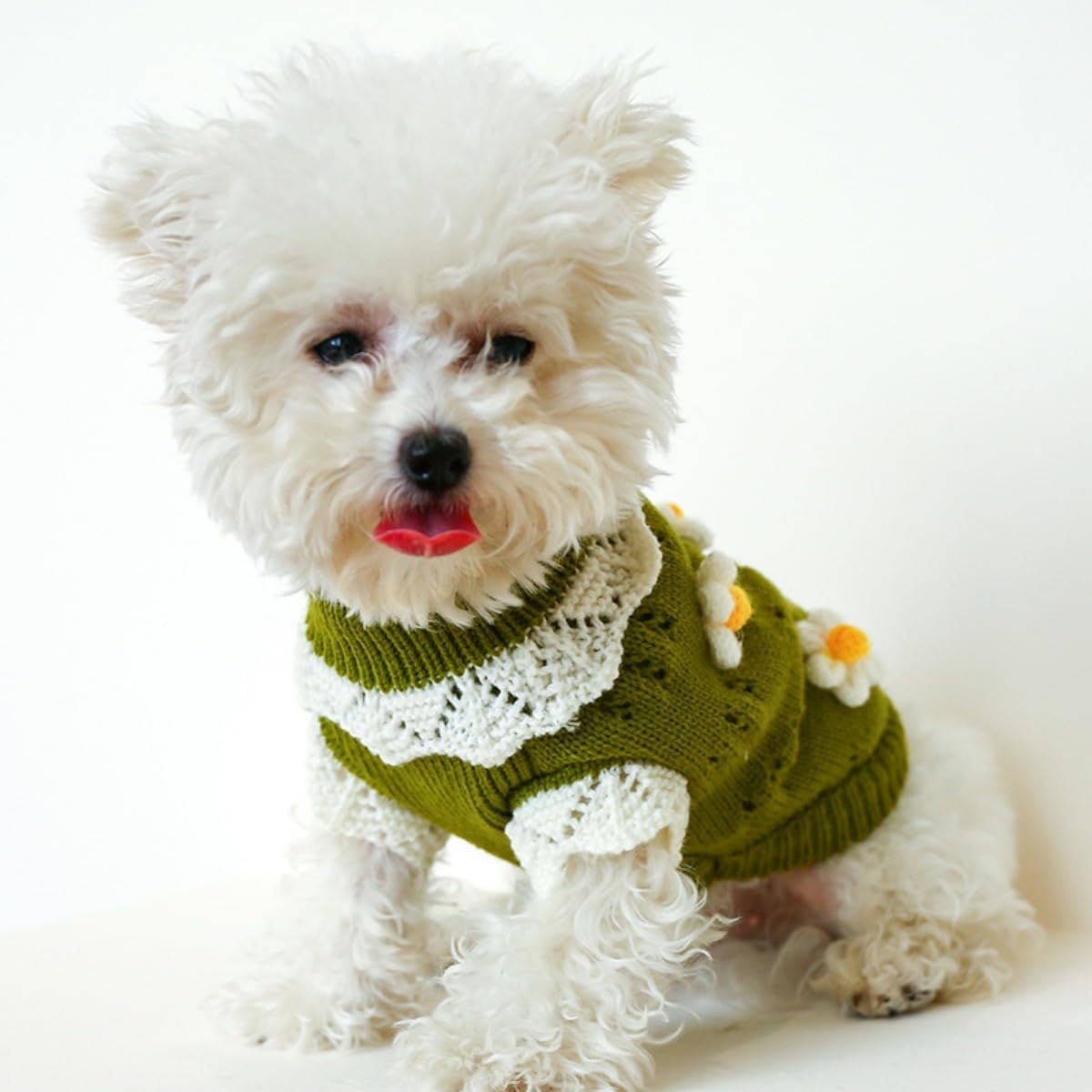 Suéter de punto para perro, cálido y cómodo, con patrón de flores, suéter feo de Navidad, abrigo de invierno para Chihuahua, cachorro, ropa de