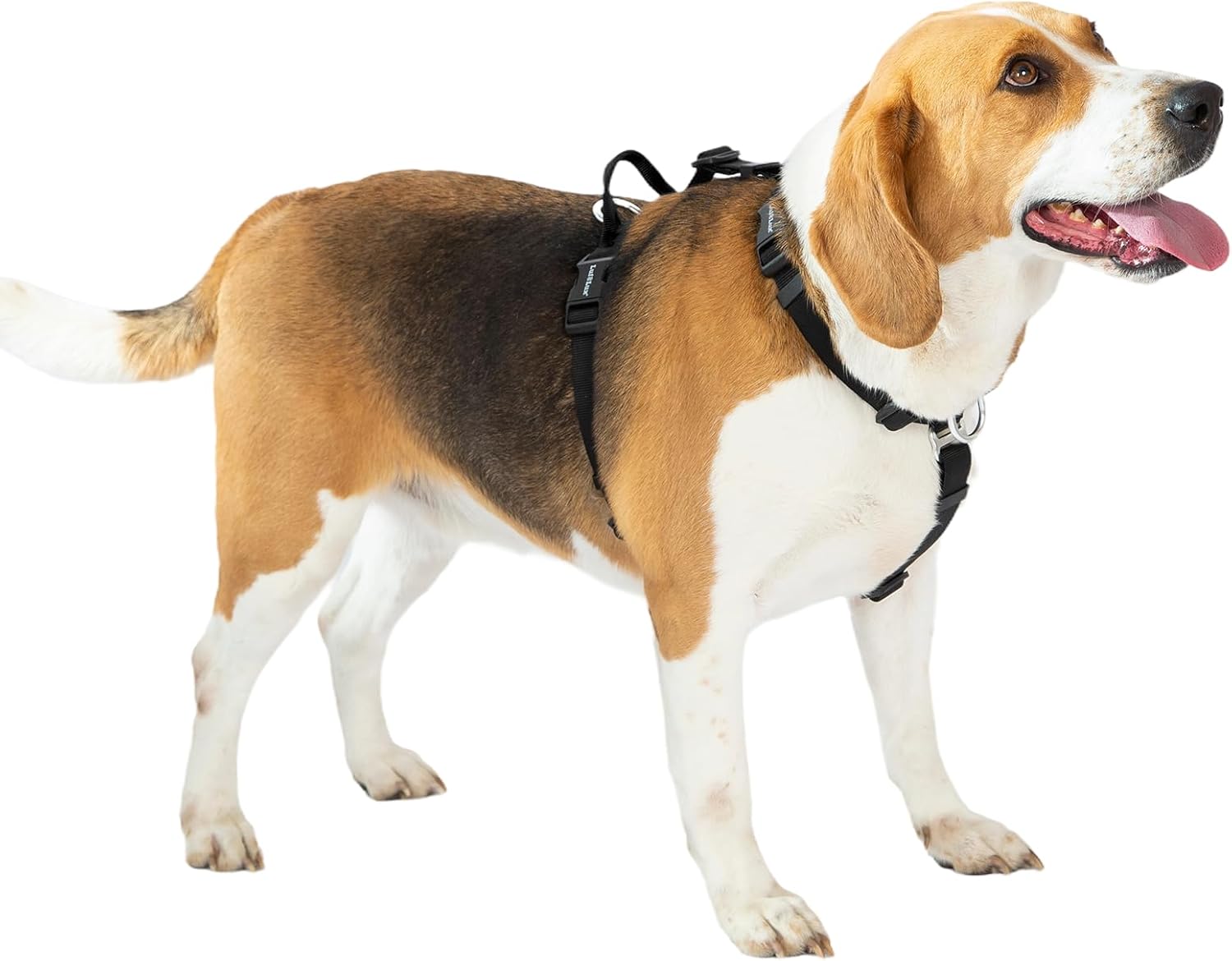 Arnés para perro fácil de caminar y entrenar, sin tirones, arnés no restrictivo con hebilla para el cuello, correas de nailon, anillos en D de