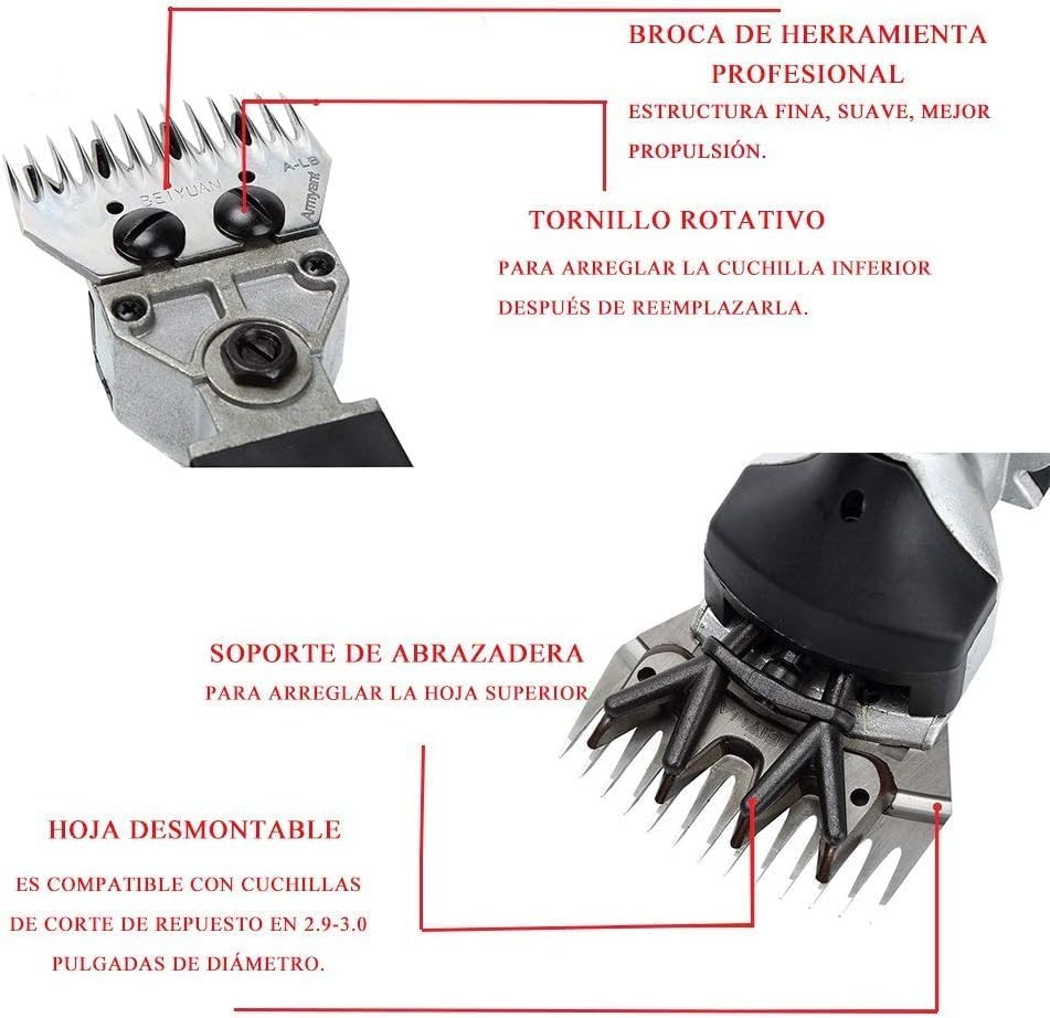 CGOLDENWALL Cizalla de ovejas eléctrica portátil profesional con 6 velocidades ajustables para caballos, ganado, cabras, poni verde, 110 V (9