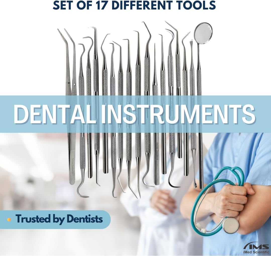 Herramientas dentales multifuncionales, 17 piezas, removedor de placa, juego de limpieza de dientes, kit de higiene bucal con limpiador de placa de