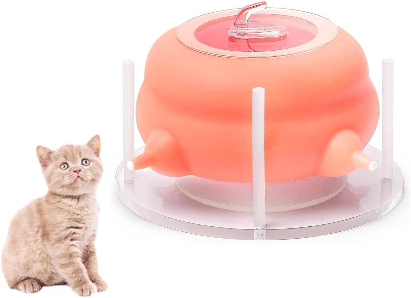 KEDAO Comedero para cachorros y gatos, comedero de leche para cachorros, estación de lactancia para cachorros, comedero para múltiples cachorros,