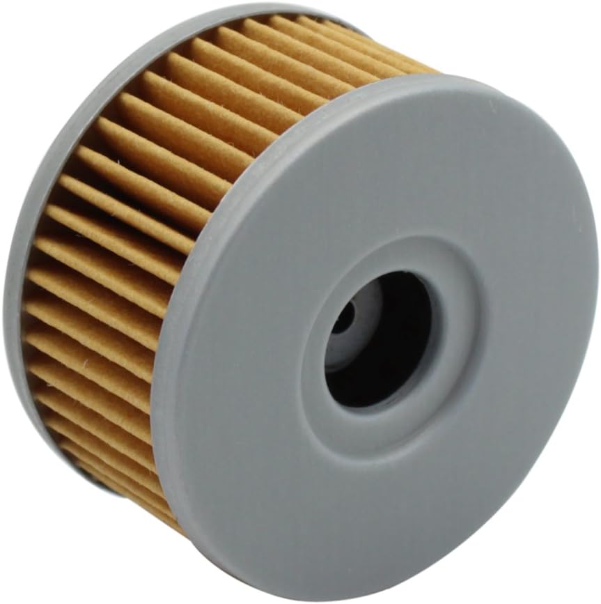 Cyleto Filtro de aceite para SUZUKI GZ250 GZ 250 MARAUDER 250 1999-2010  GN250 GN 250 1982-2000  GN400 GN 400 1980 1981 1982 (paquete de 2)