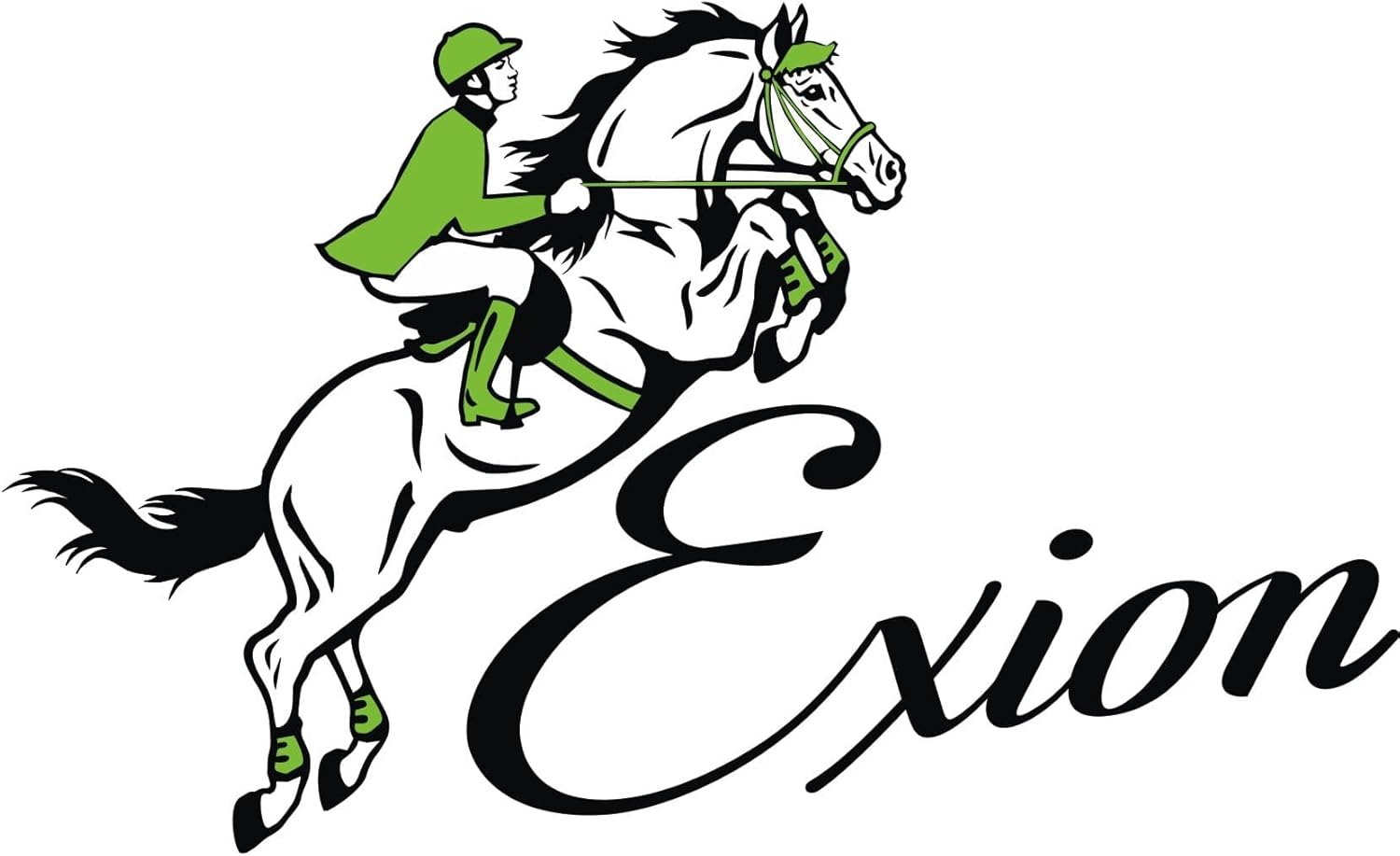 Exion Soft Lined con figura de 8 bridas y riñas de goma para caballos  Figura inglesa 8 Blue Bridle