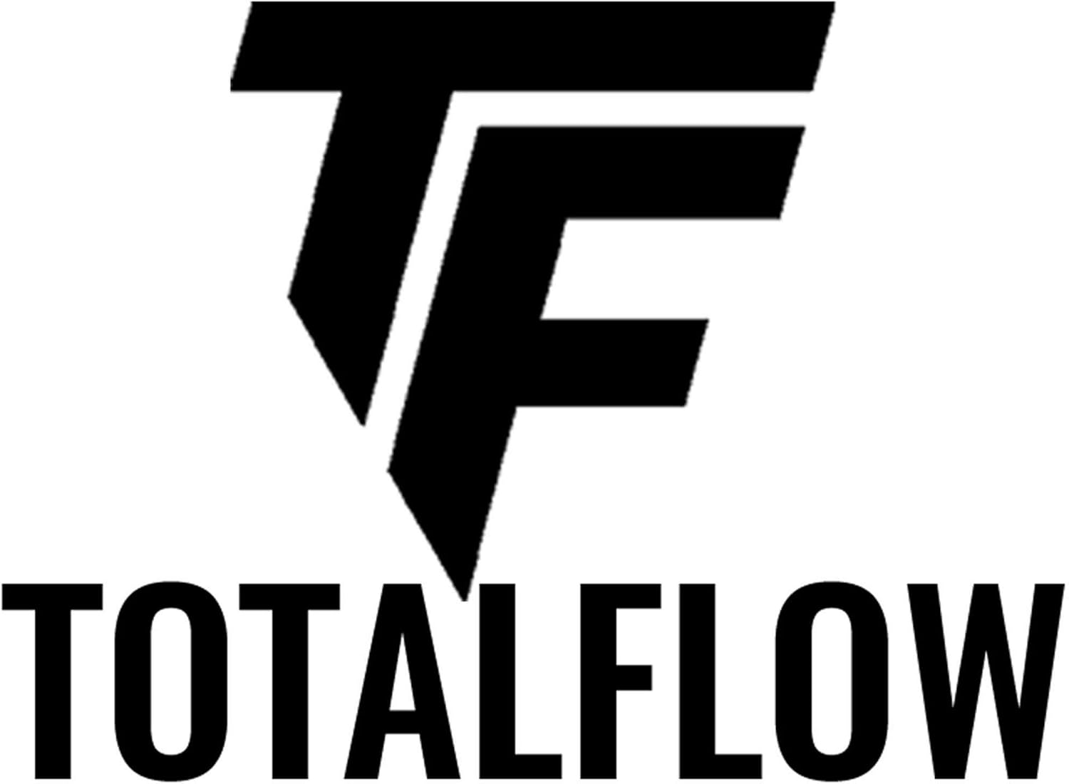 TOTALFLOW 7645 Ram 1500 Sistema de silenciador de escape de ajuste directo  Sistema de escape Ram 1500 de 5 generación (fabricado en los Estados