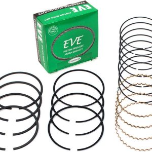 Evergreen RS7005-EVE.STD – Juego de anillos de pistón de motor compatible con Daewoo Nubira Leganza Isuzu Rodeo Amigo SOHC X20SE  X22SE (tamaño Evergreen RS7005-EVE.STD – Juego de anillos de pistón de motor compatible con Daewoo Nubira Leganza Isuzu Rodeo Amigo SOHC X20SE  X22SE (tamaño