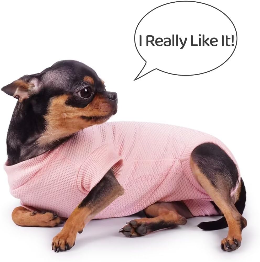 Frienperro Traje de recuperación para perros, camisa de cirugía de esterilización para perras, mameluco, pijama para mascotas, alternativa al cuello