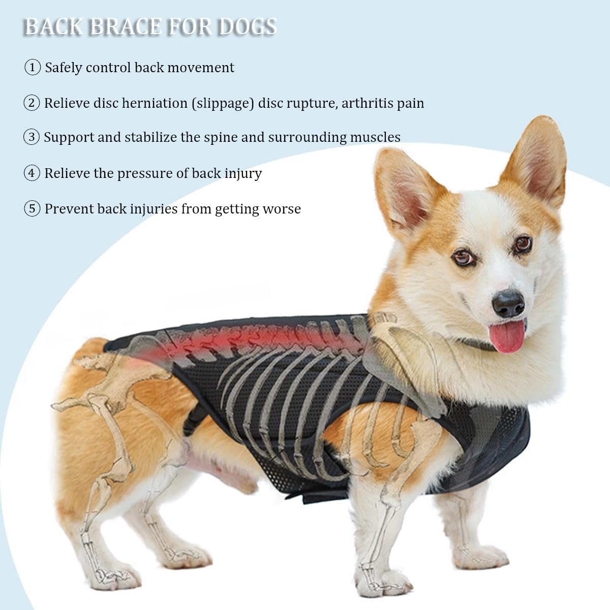 IVDD – Soporte de espalda para perros, chaleco flexible de apoyo de espalda de perro salchicha para mascotas, soporte de espalda para mascotas