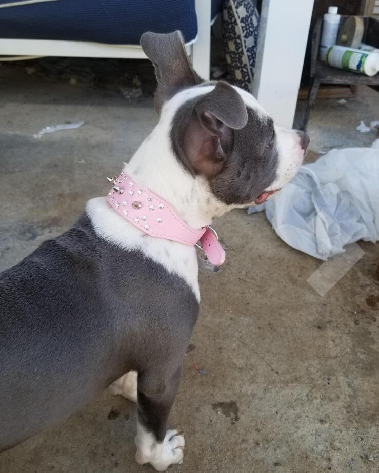 Collar de perro de piel sintética con diamantes de imitación, suave y ajustable para perros medianos y grandes (S, rosa intenso)