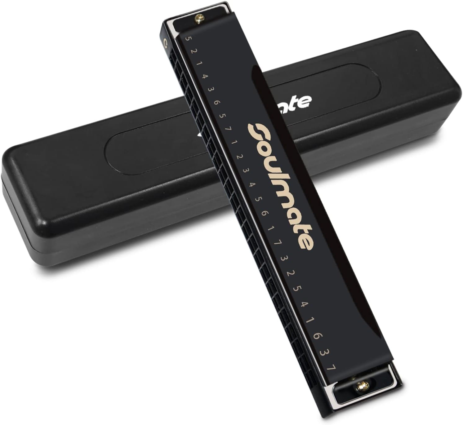 Soulmate Armónica de 24 agujeros C Key Blues Armónica con estuche, armónica de órgano de boca para principiantes con estuche para niños, adultos,