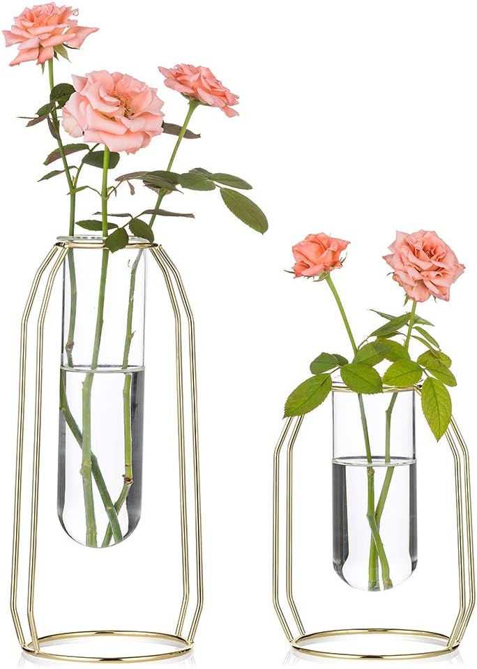 Nuptio – Juego de 2 jarrones de cristal con marco de metal, para plantas y flores, jarrón cilíndrico, para plantas de mesa, para oficina, sala de