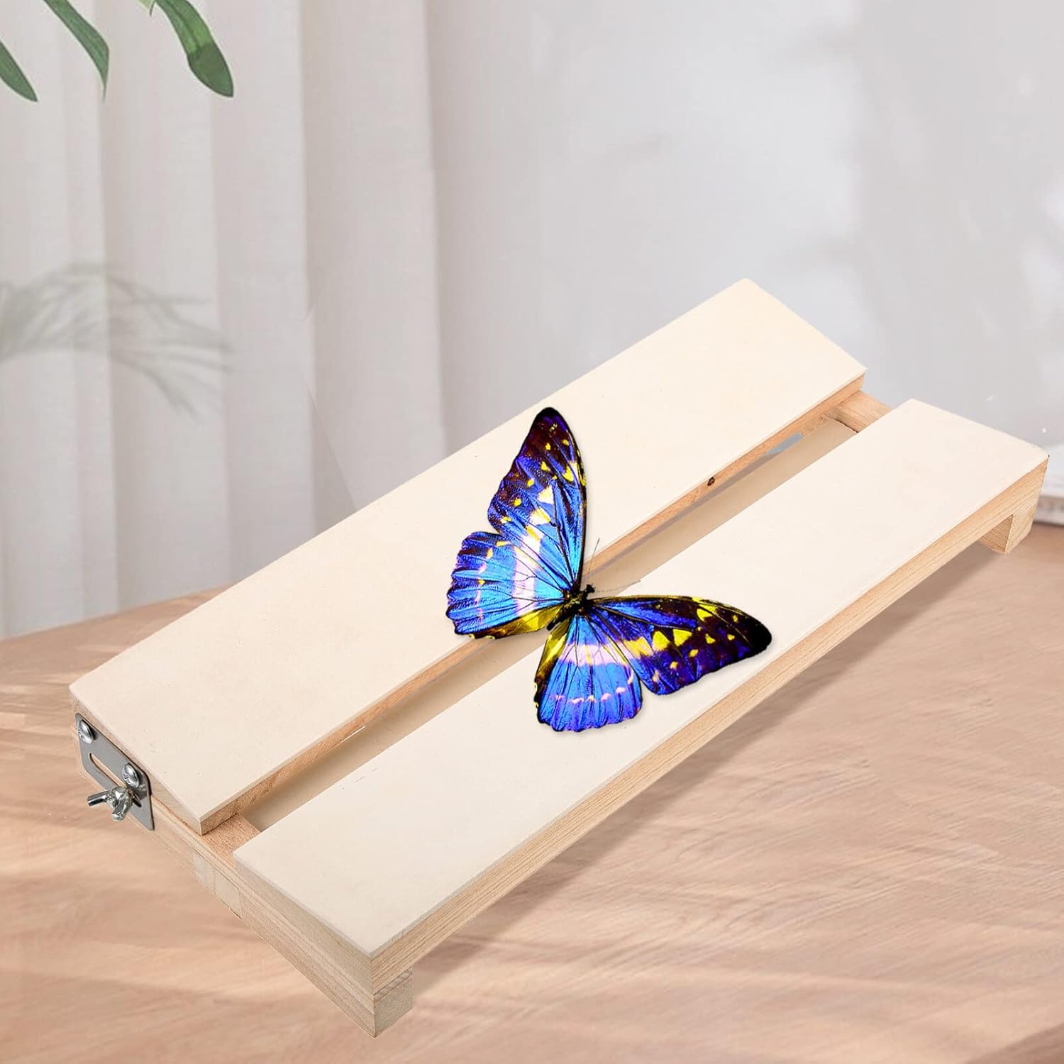Tablero de difusión de montaje de mariposa Tablero de visualización Tablero de fijación de espécimen Tabla de difusión para educación científica