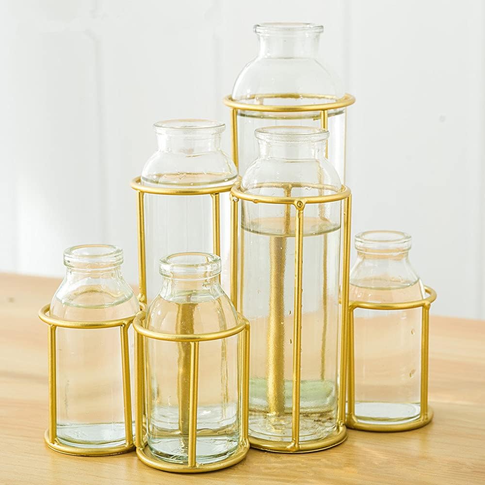 Radefasun Jarrones de flores con 6 botellas de cristal transparente con soporte de metal, estación de propagación de plantas, juego de soporte para