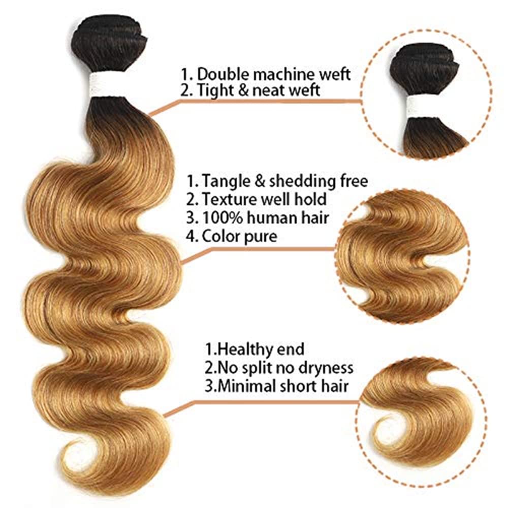 X-TRESS Extensiones de cabello humano virgen brasileño ondulado rubio miel degradado T1B27, 1 paquete de extensiones de cabello humano (18 pulgadas,