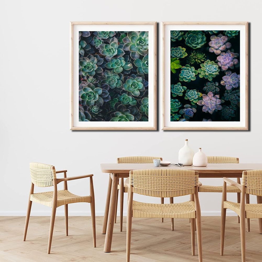CHUNXIA Pintura por números para adultos, principiantes y niños, paquete de 2 lienzos enrollados de arte de pared, kit de pintura fácil por números,