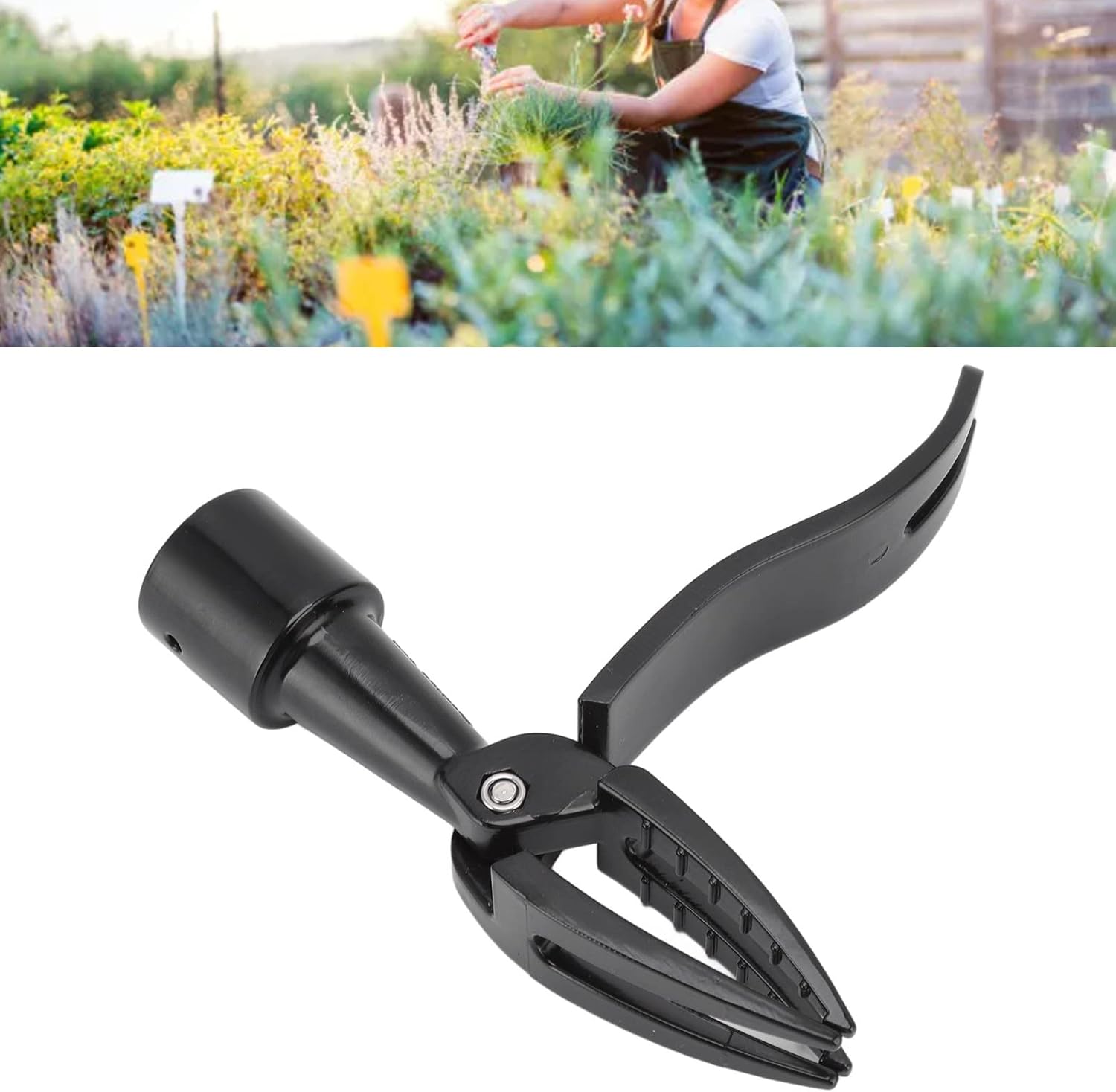 Extractor de malezas de pie, extractor de malezas profesional de aleación de aluminio, herramienta manual para quitar malezas para jardín, granja,