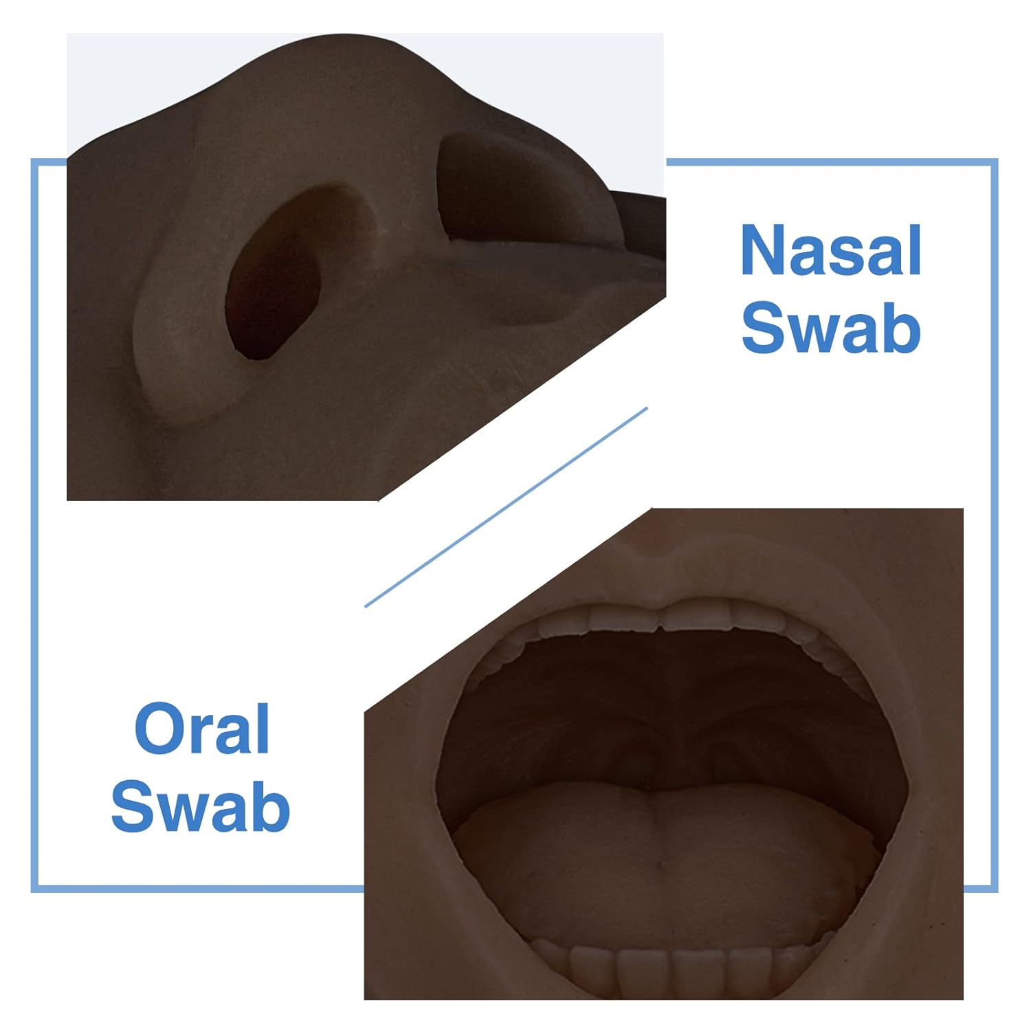 Hisopo nasal, modelo de entrenamiento de prueba de hisopos de garganta, simulador de colección de hisopos, hisopo oral de saliva, acupuntura, modelo