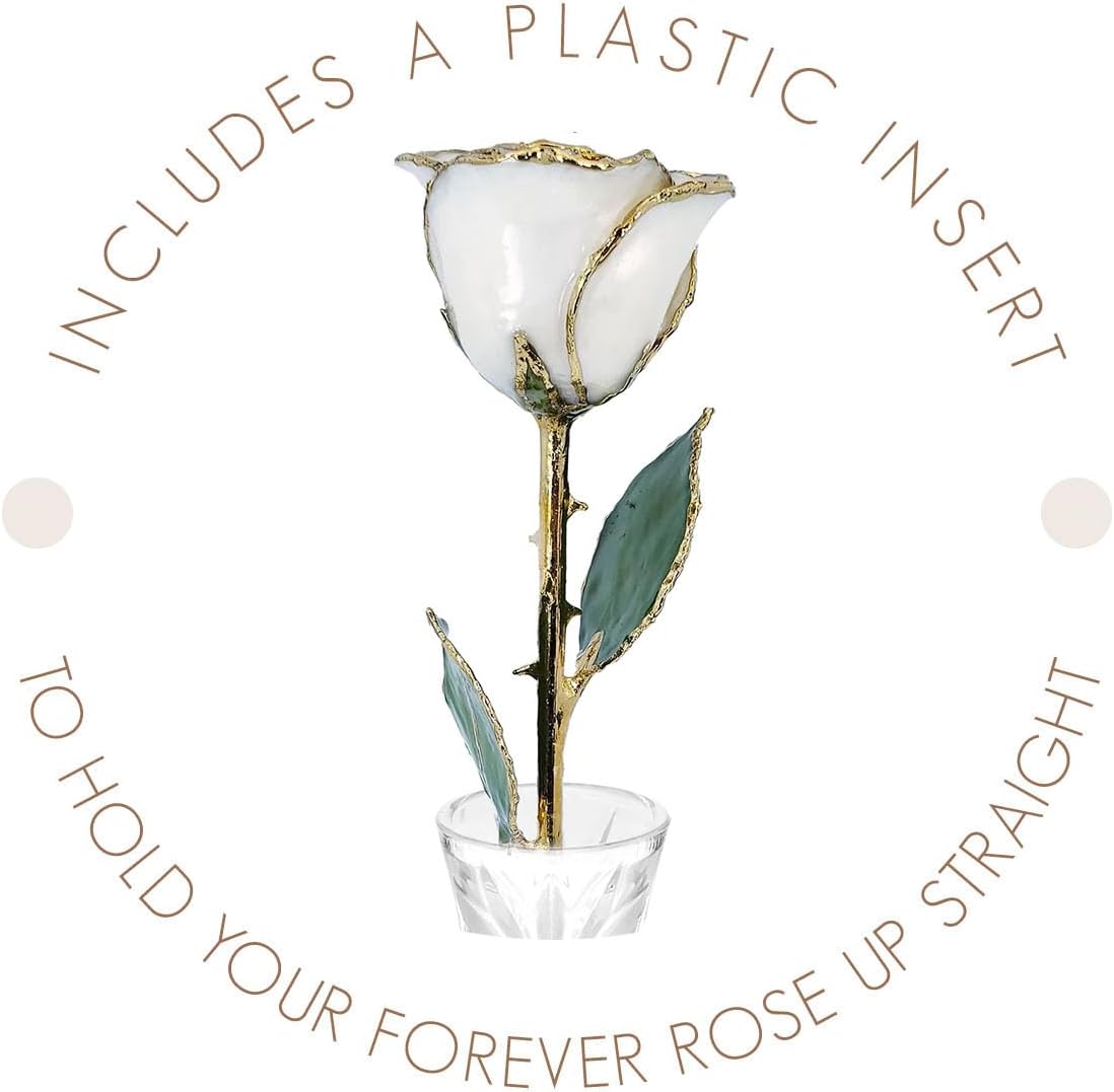 Forever Rose Rosa perla blanca bañada en oro de 24 quilates, piedra natal de junio, una rosa única y eterna perla blanca real bañada en oro de 24