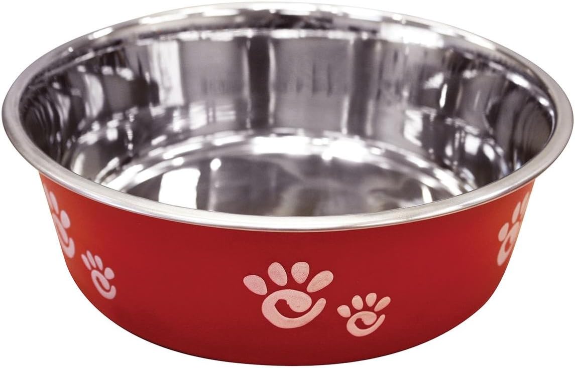 Ethical Pet Barcelona – Plato mate y de acero inoxidable para mascotas, 64 onzas, frambuesa