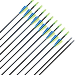 CQ Archery Fiberglass Target Practice Arrows 2830inch Recurve Bow Arrows for Beginners or Kids and Youth(12pcs) CQ Archery Fiberglass Target Practice Arrows 2830inch Recurve Bow Arrows for Beginners or Kids and Youth(12pcs)