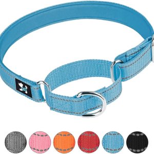 Collares ajustables para perros de entrenamiento de seguridad Martingala, de neopreno suave y acolchado, de nailon transpirable, para perros Collares ajustables para perros de entrenamiento de seguridad Martingala, de neopreno suave y acolchado, de nailon transpirable, para perros