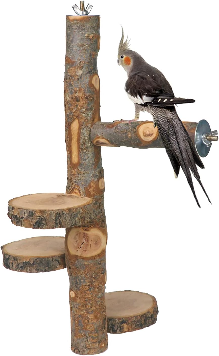 Chinchilla – Plataforma giratoria de madera colgante grande  Plataforma de pie de madera de fruta natural para animales pequeños  Plataforma