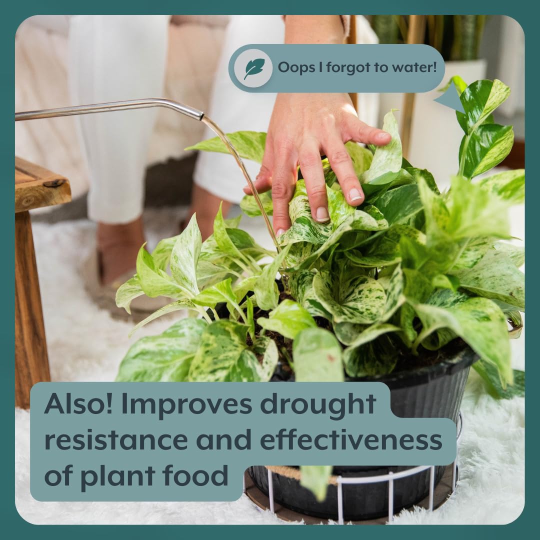 Soporte instantáneo para plantas (4 tabletas)  Probióticos de tabletas autodisolvibles para plantas de interior, sin olor, sin polvo, sin ensuciar,