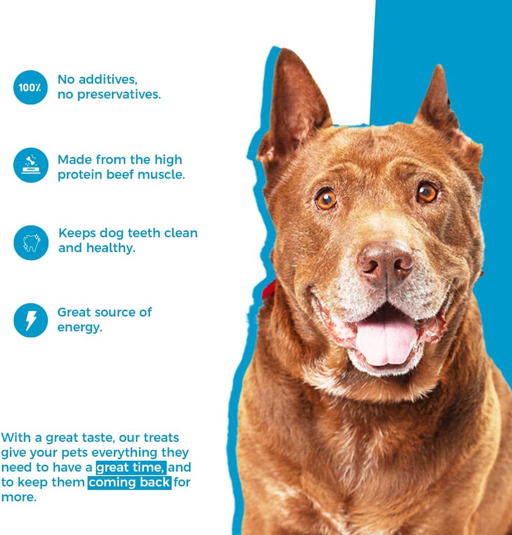 GrubTerra Natural Beef Dog – Golosinas dentales para perros, hechas en Estados Unidos, bocadillos saludables para perros, sin granos, con alto